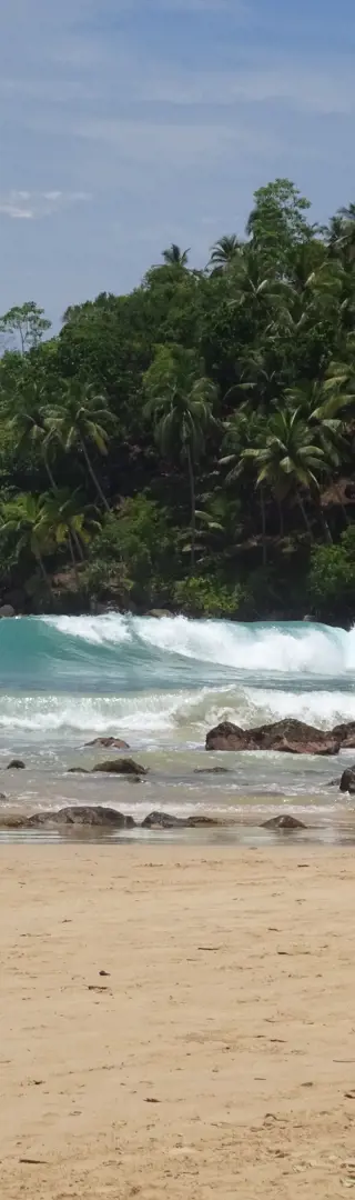 Mirissa Beach